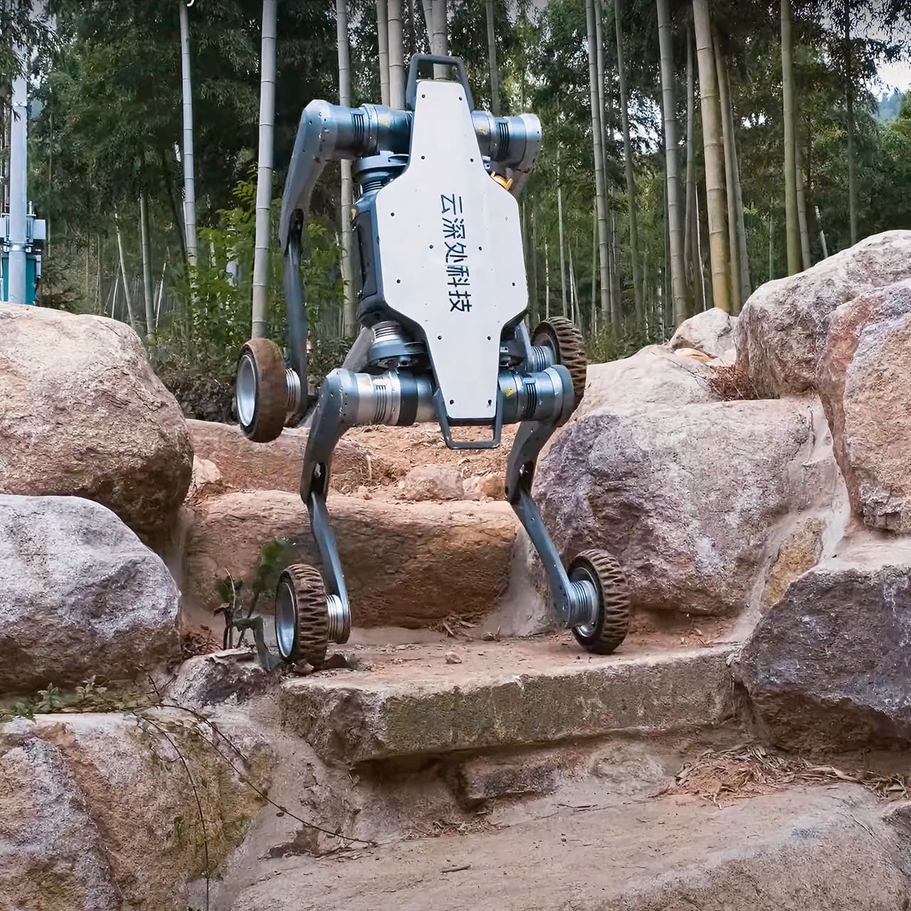 Robot Lynx od DEEP Robotics
